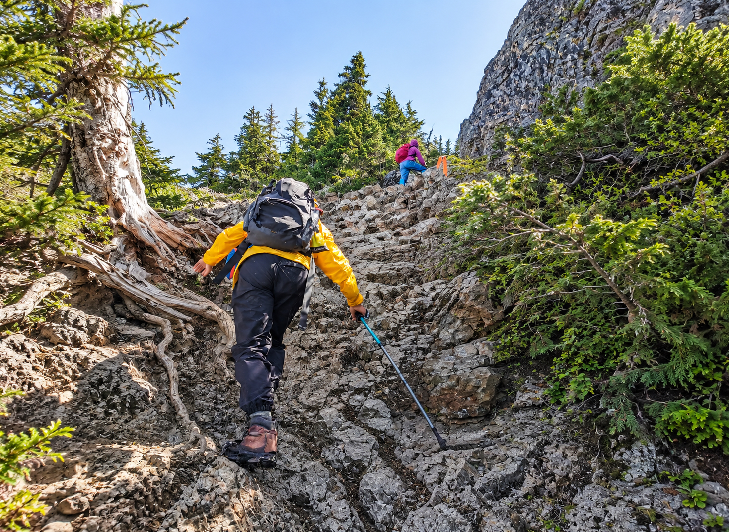 Helen and Patrick climbing a steep section of Mount Brunswick