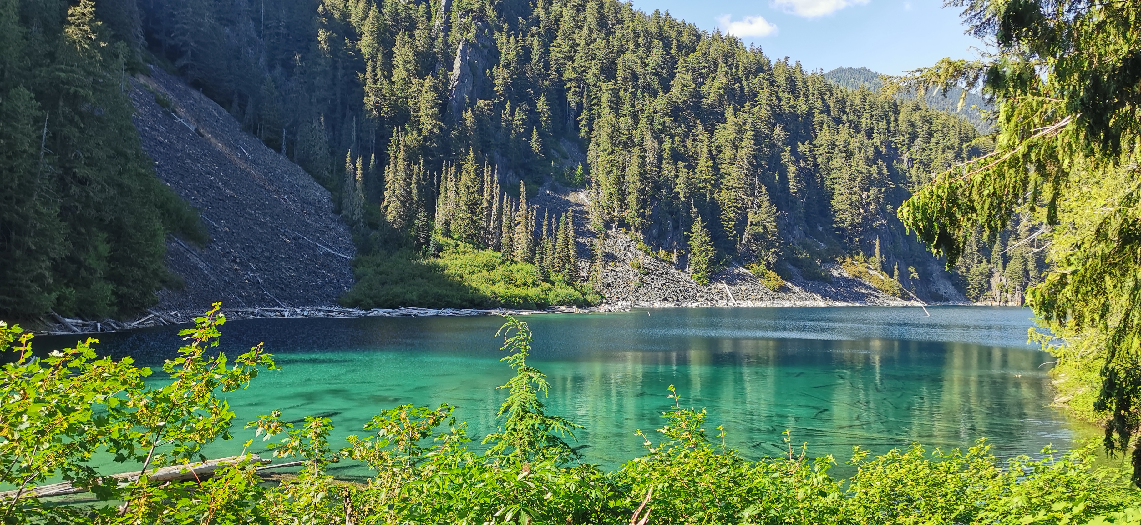 Greendrop Lake view