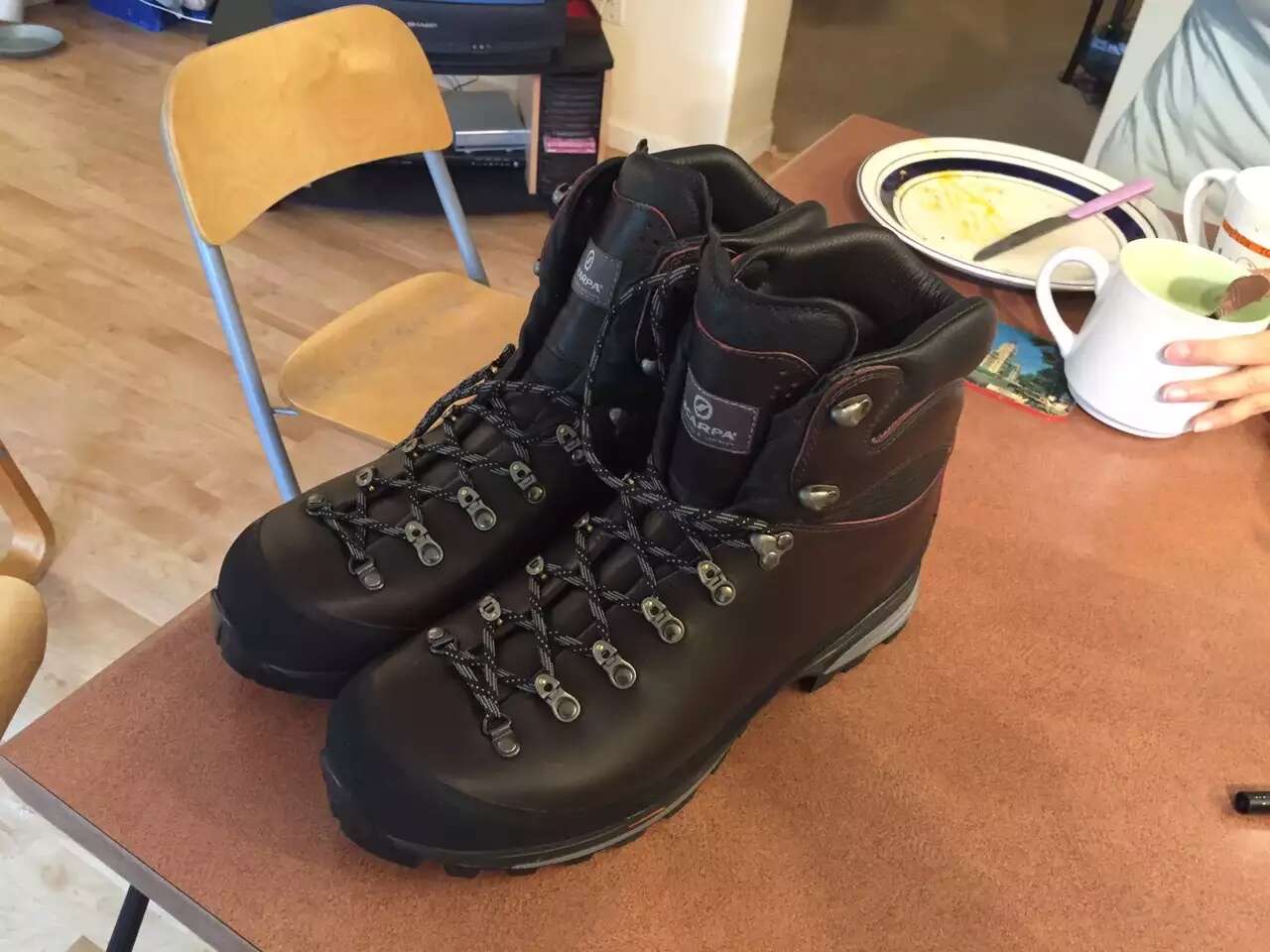 Scarpa backpacking shoes
